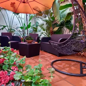 https://il-cortiletto-di-piazza-verga.sicilyhotelsitaly.net